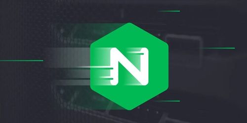 banner.jpg